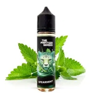جویس ادامس نعنایی 60 میل دکتر ویپ | Dr . Vape Spearmint 60 Ml