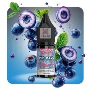 سالت ( بلوبری ) 10 میل | Lost Vape Mr . Bule 10 Ml