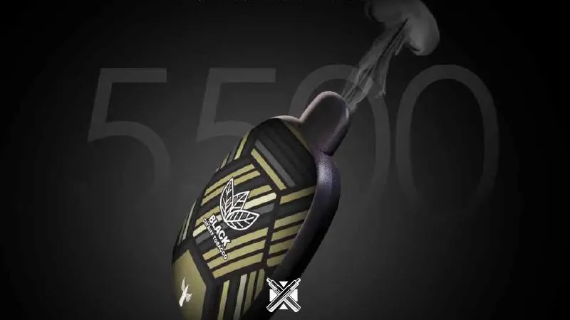 پاد یکبار مصرف دکتر ویپ 5500 پاف